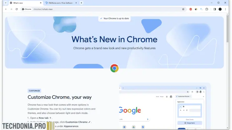 تحميل Google Chrome Portable